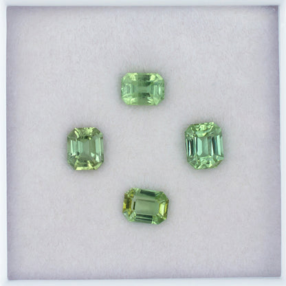 2.44ct Green Tourmaline Colored Gemstone Parcel White Background 
